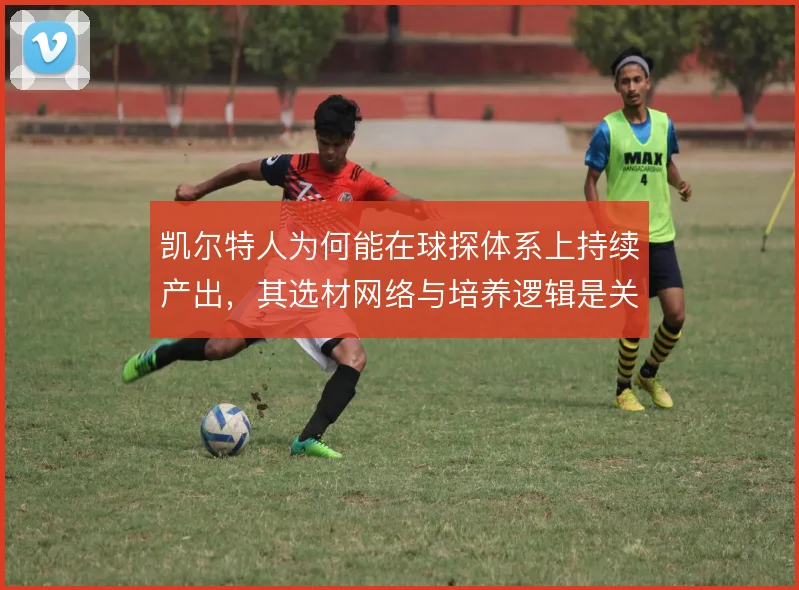 凯尔特人为何能在球探体系上持续产出,其选材网络与培养逻辑是关键