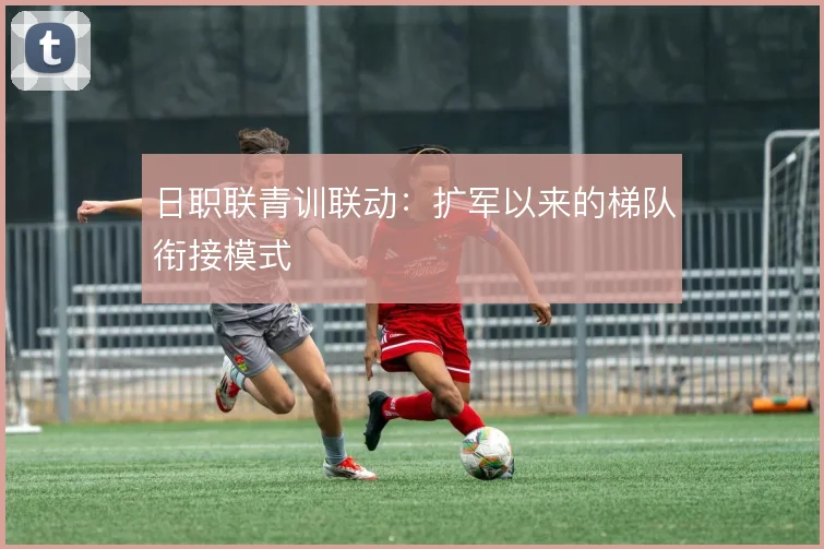 日职联青训联动:扩军以来的梯队衔接模式